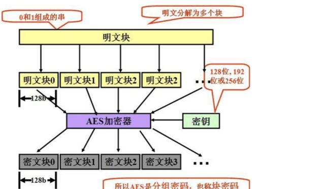 文章图片2